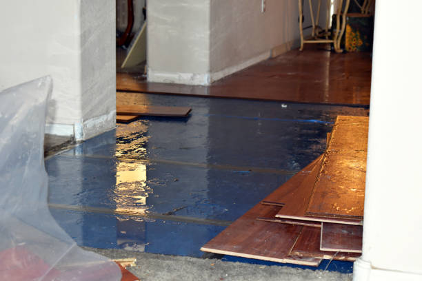 Professional Basement Flood Cleanup technician working in Essington, PA
